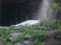 IMGP1246.JPG